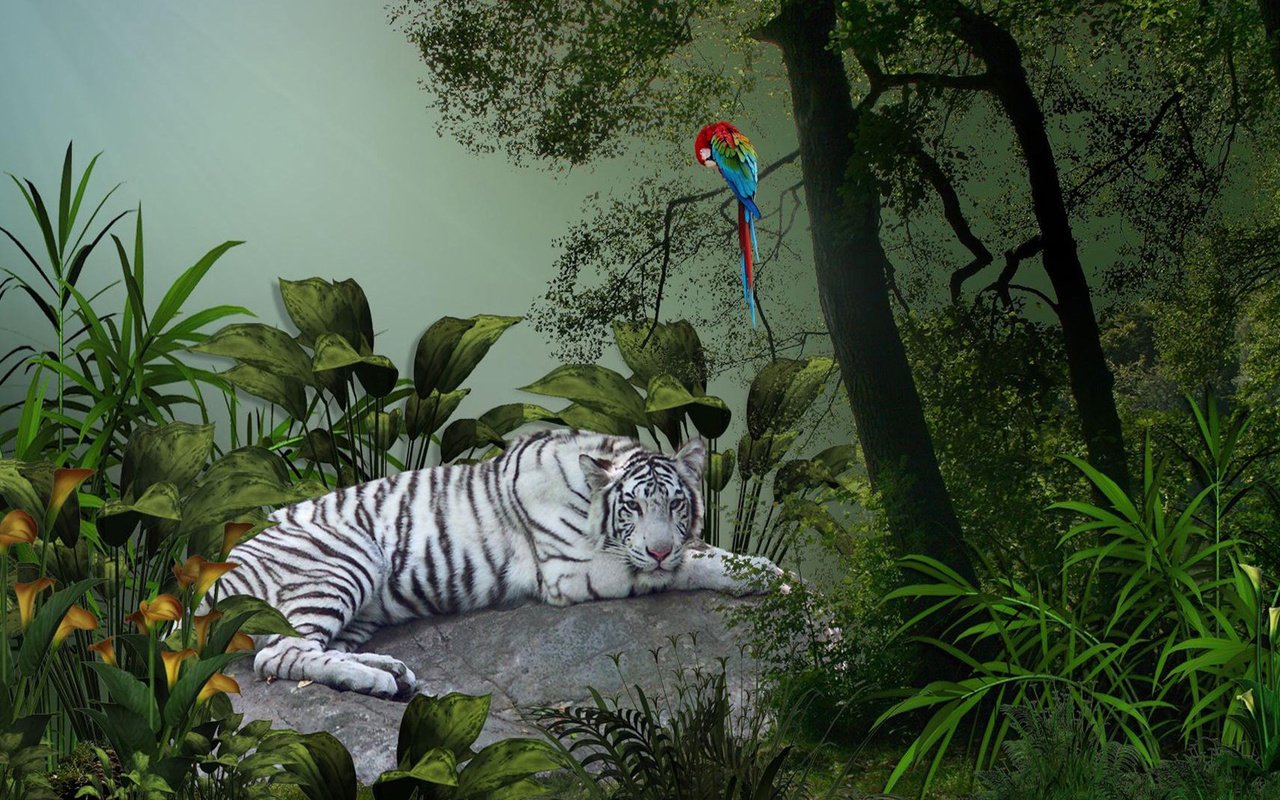 Обои тигр, зелень, белый, тропики, попугай, ара, tiger, greens, white, tropics, parrot, ara разрешение 2560x1440 Загрузить