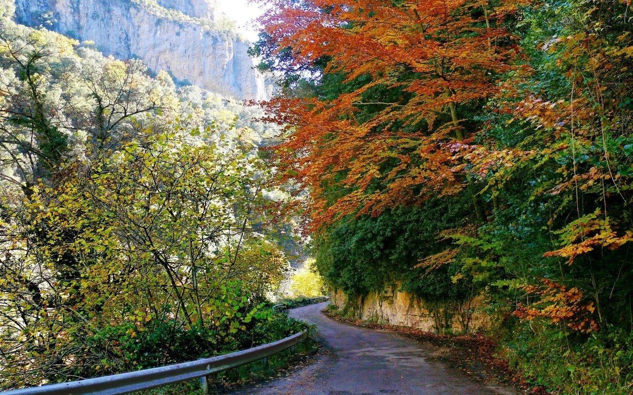 Обои дорога, деревья, горы, листья, осень, road, trees, mountains, leaves, autumn разрешение 1920x1260 Загрузить