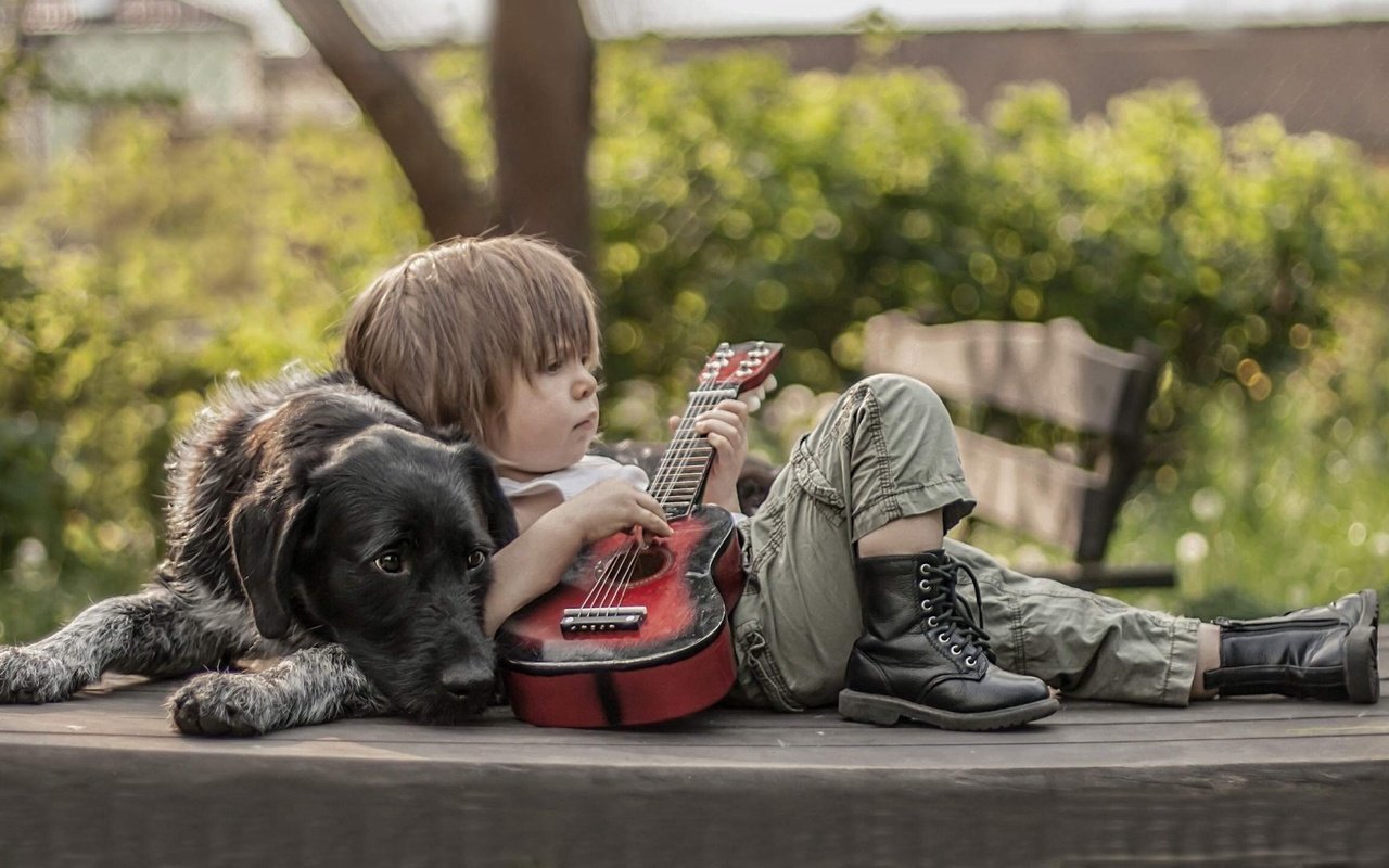 Обои гитара, собака, мальчик, друзья, ботинки, guitar, dog, boy, friends, shoes разрешение 1920x1080 Загрузить