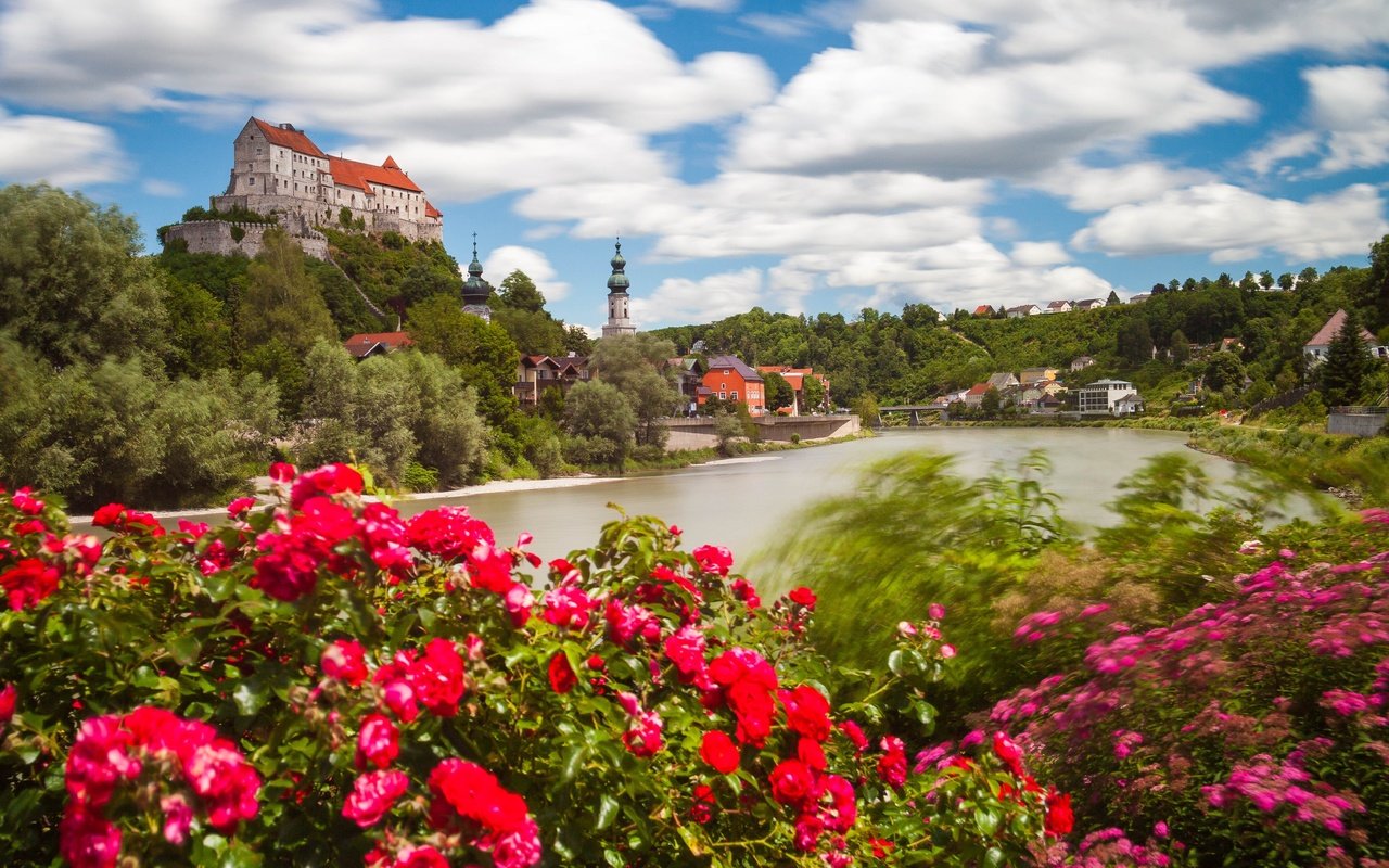 Обои бургхаузен, цветы, salzach river, река, замок бургхаузен, кусты, река зальцах, замок, розы, германия, бавария, баварии, burghausen, flowers, river, burghausen castle, the bushes, the salzach river, castle, roses, germany, bayern, bavaria разрешение 4381x2921 Загрузить