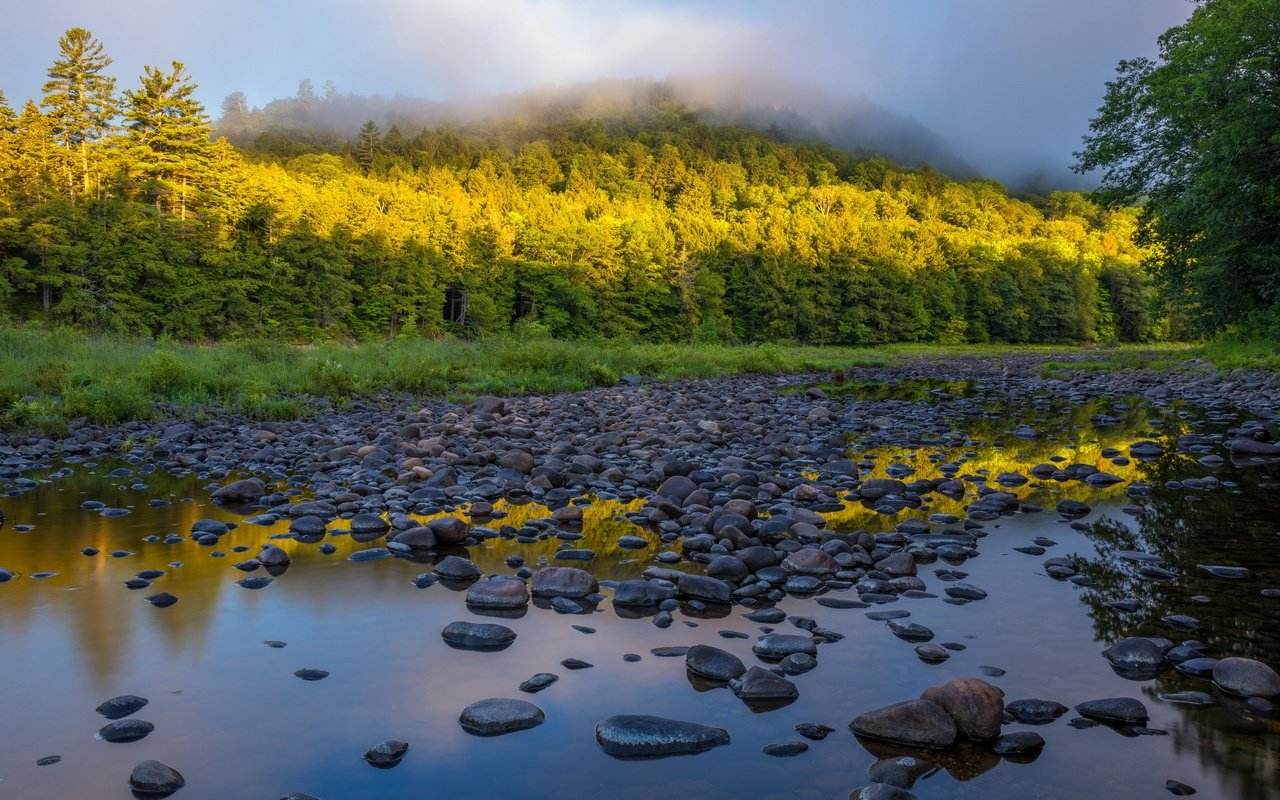 Обои деревья, река, природа, камни, лес, утро, туман, trees, river, nature, stones, forest, morning, fog разрешение 2560x1707 Загрузить