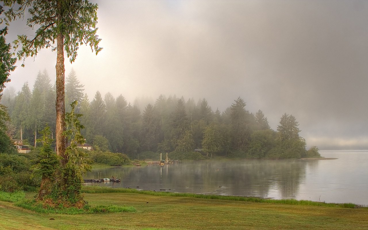 Обои деревья, озеро, река, природа, лес, туман, trees, lake, river, nature, forest, fog разрешение 3456x1936 Загрузить