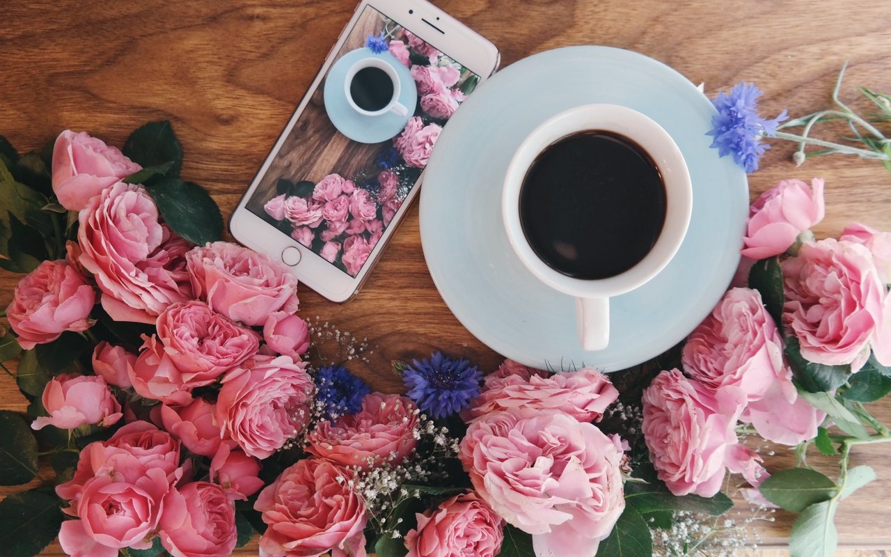 Обои цветы, розы, кофе, завтрак, flowers, roses, coffee, breakfast разрешение 5183x3402 Загрузить