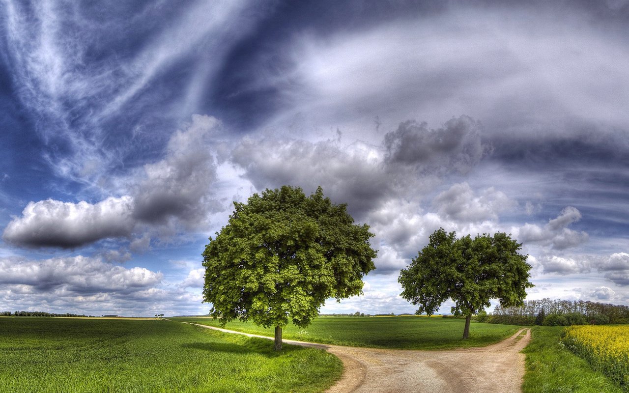 Обои небо, дорога, трава, облака, природа, зелень, пейзаж, луг, the sky, road, grass, clouds, nature, greens, landscape, meadow разрешение 1920x1080 Загрузить