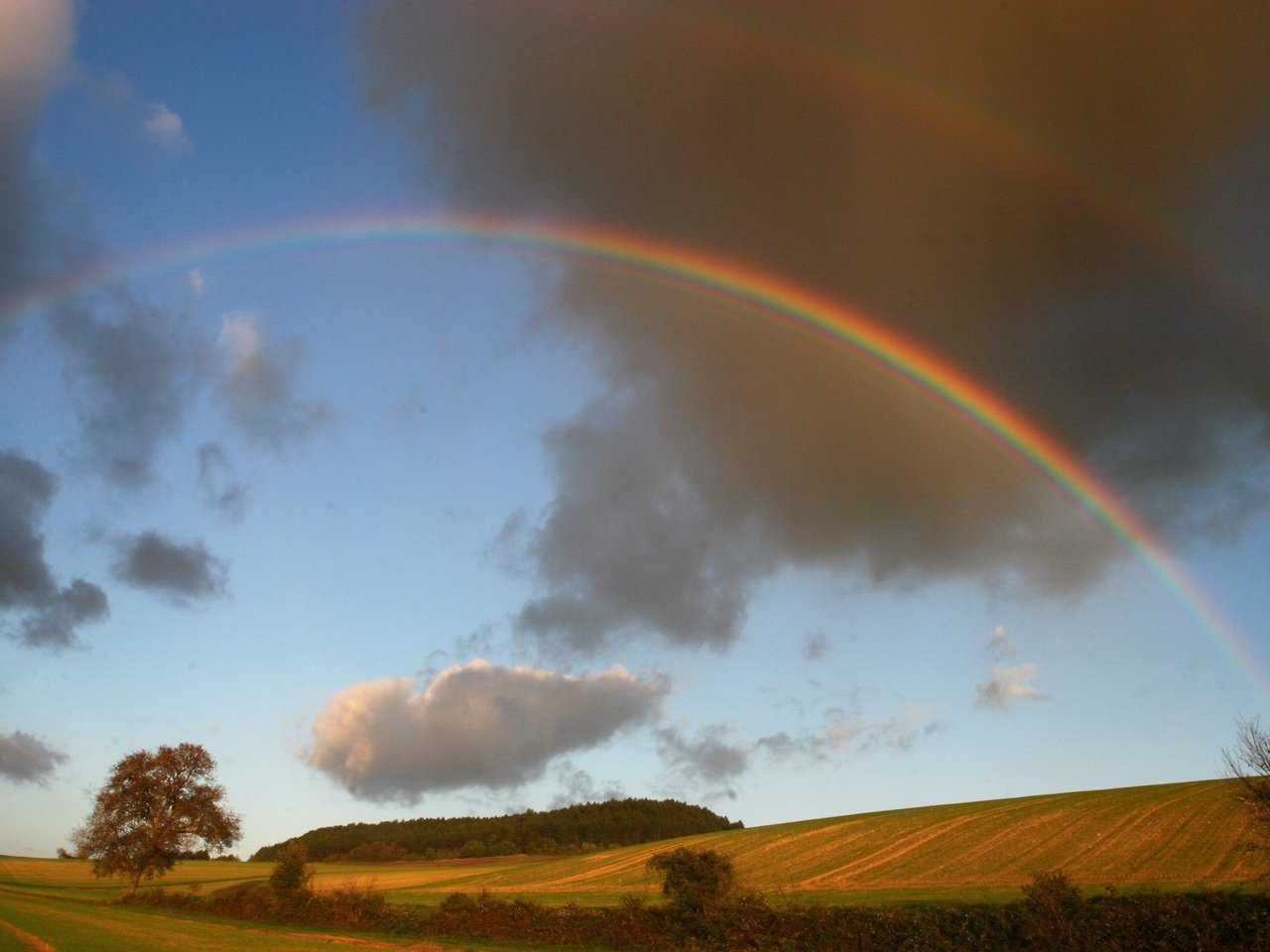 Обои облака, деревья, поле, радуга, clouds, trees, field, rainbow разрешение 1920x1440 Загрузить