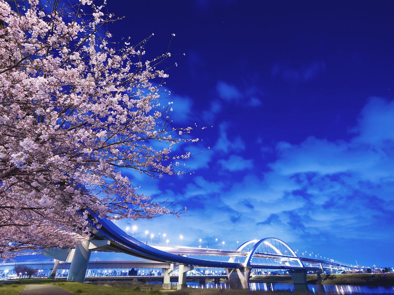 Обои фонари, река, дерево, мост, япония, lights, river, tree, bridge, japan разрешение 1920x1200 Загрузить