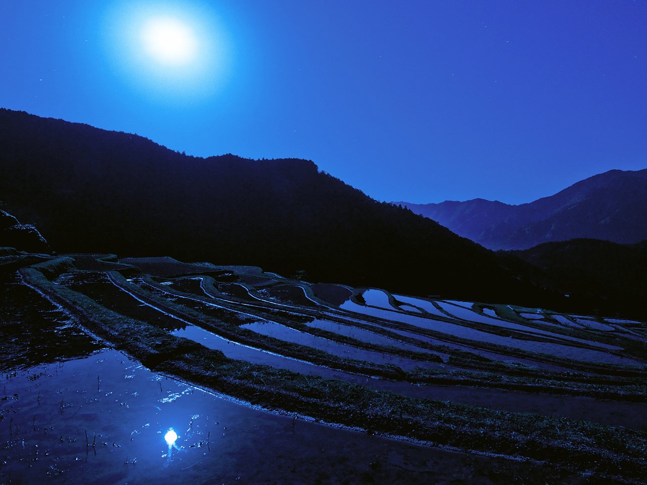 Обои ночь, луна, япония, японии, moon, рисовое поле, night, the moon, japan, rice field разрешение 1920x1080 Загрузить