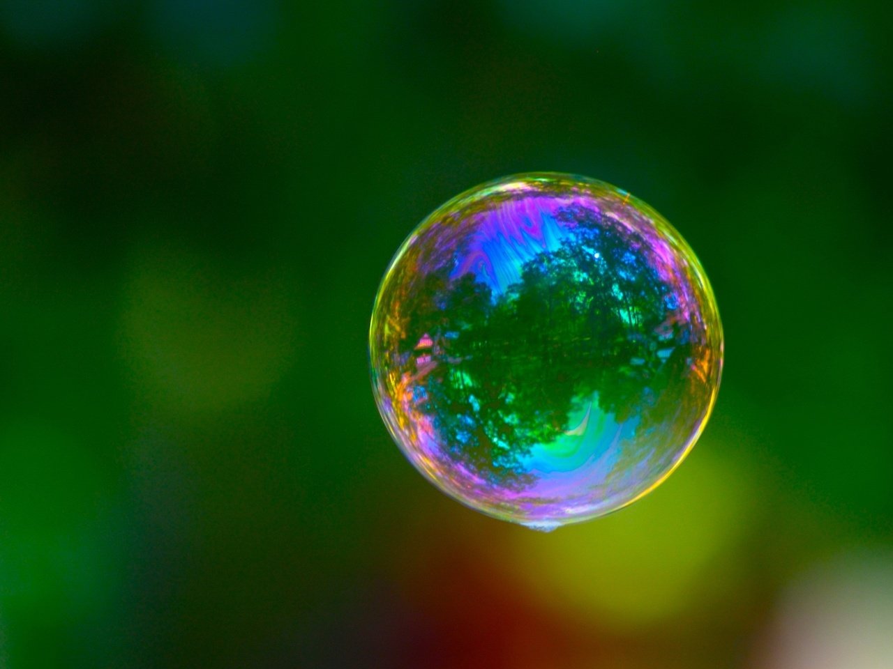 Обои зелёный, цвет, пузырь, green, color, bubble разрешение 2560x1600 Загрузить