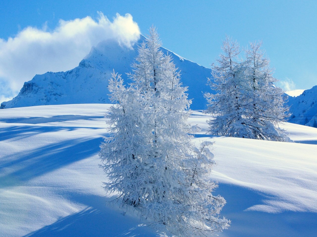 Обои деревья, снег, природа, зима, пейзаж, гора, trees, snow, nature, winter, landscape, mountain разрешение 1920x1440 Загрузить