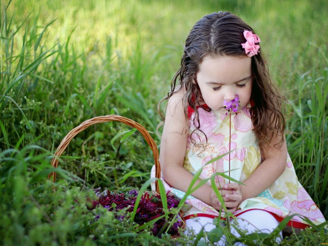 Обои трава, настроение, цветок, дети, девочка, корзинка, grass, mood, flower, children, girl, basket разрешение 2048x1365 Загрузить