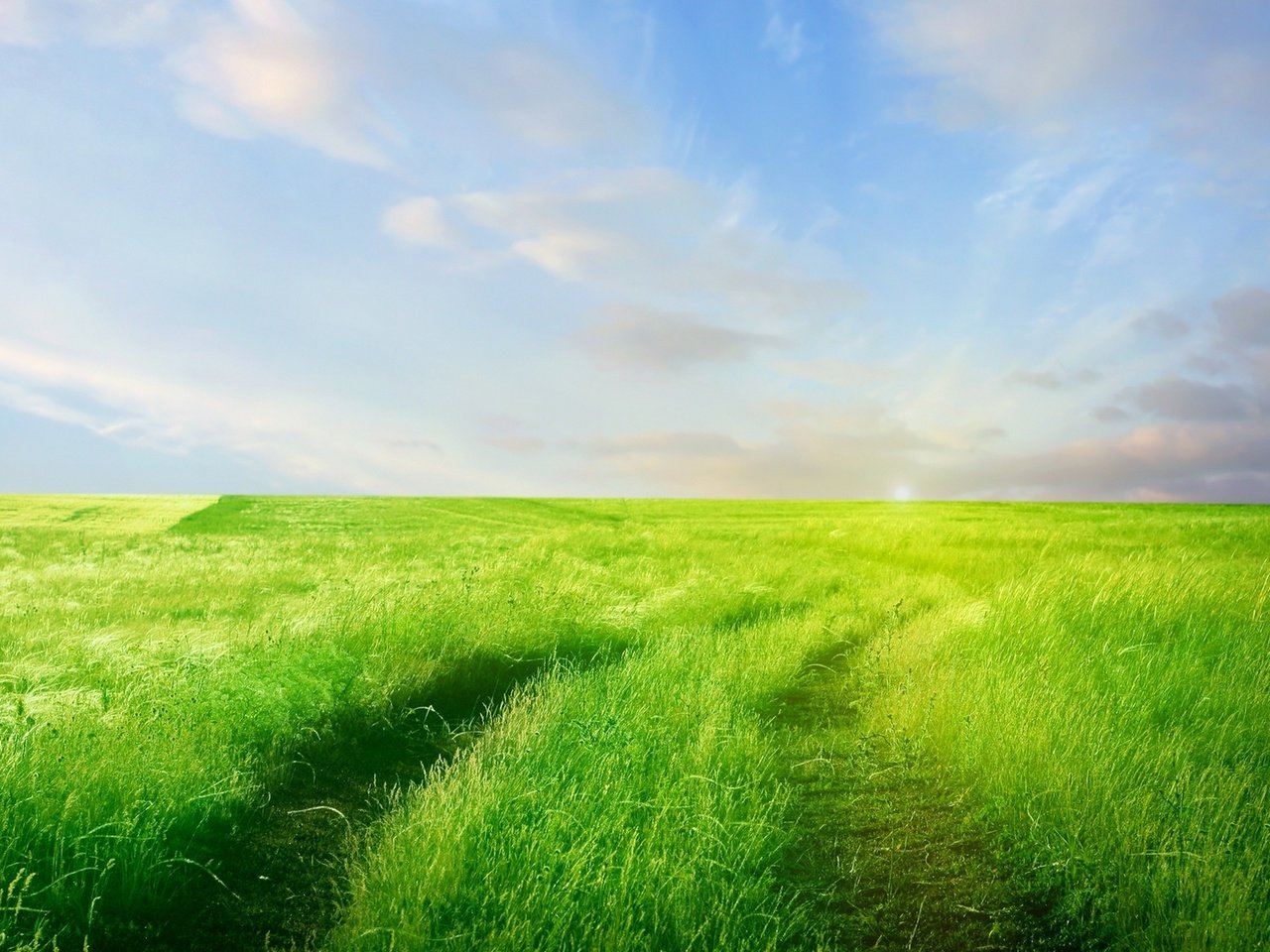 Обои небо, дорога, трава, облака, зелень, поле, горизонт, the sky, road, grass, clouds, greens, field, horizon разрешение 1920x1080 Загрузить