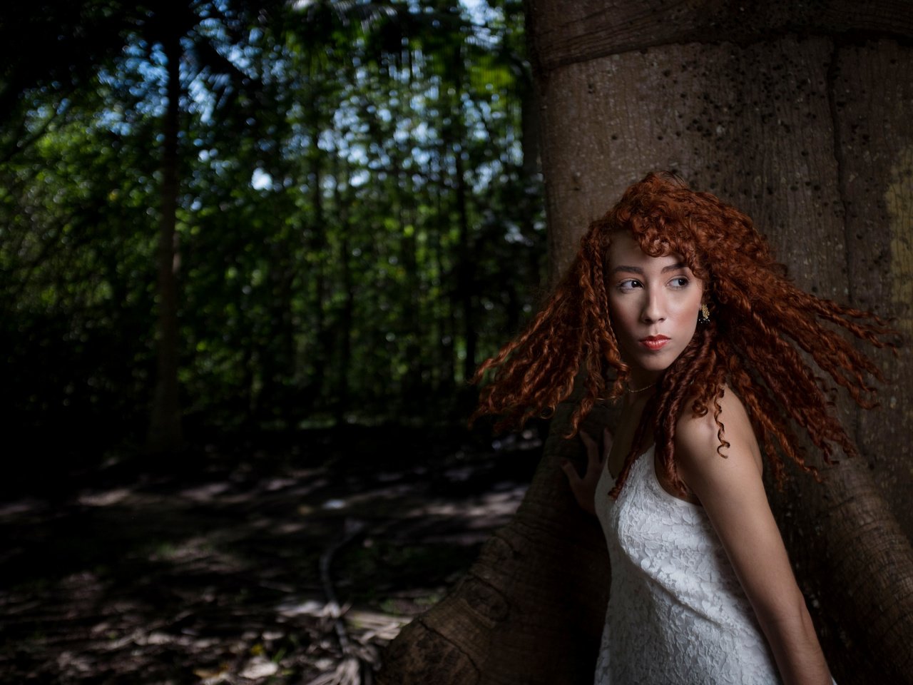 Обои природа, дерево, девушка, рыжеволосая, nature, tree, girl, redhead разрешение 4896x3264 Загрузить