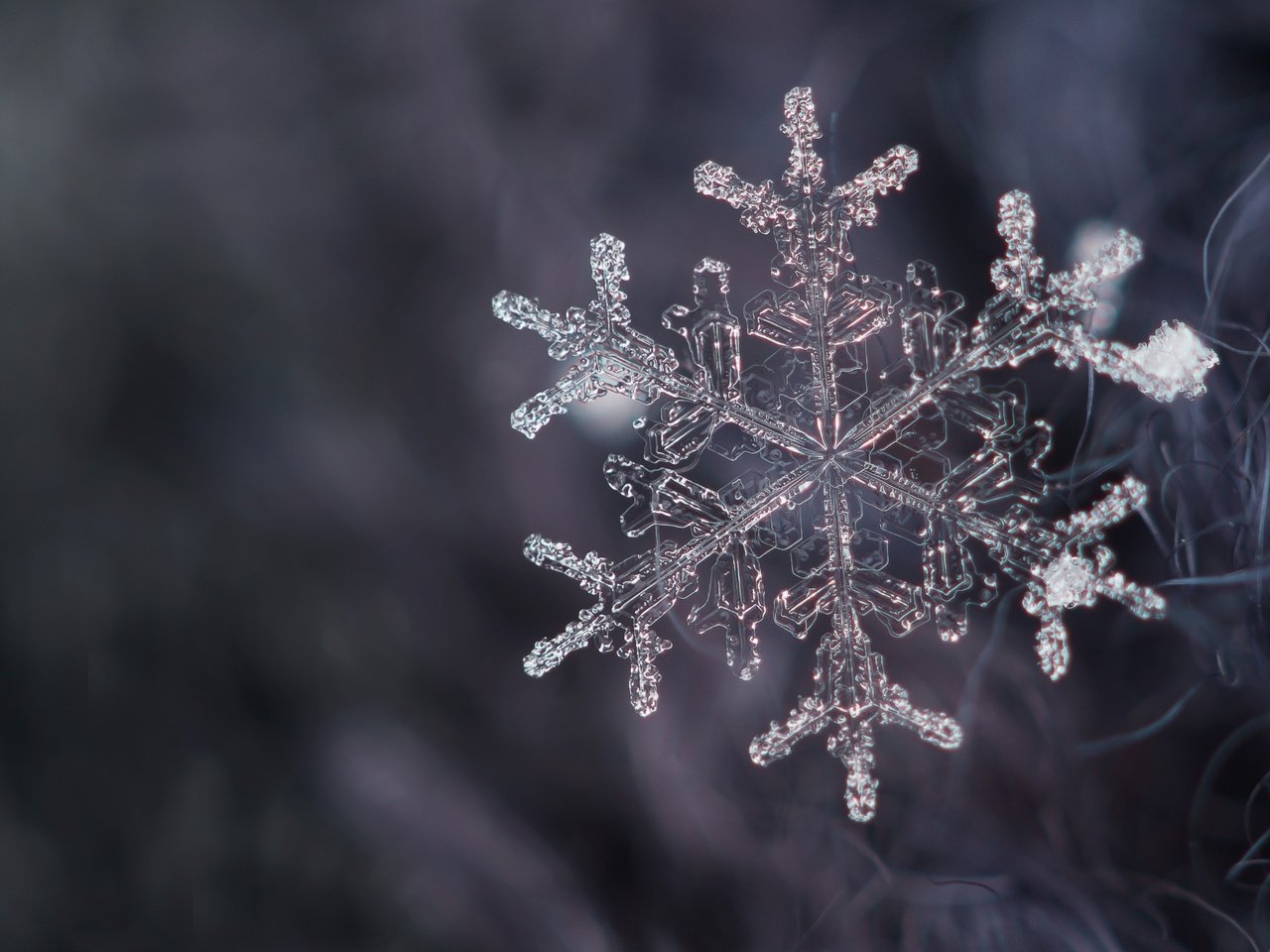 Обои снег, снежинка, кристалл, snow, snowflake, crystal разрешение 2400x1600 Загрузить