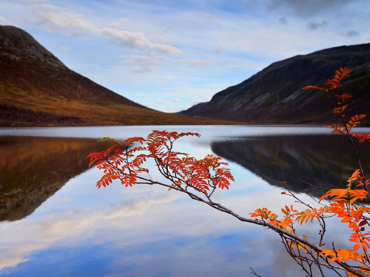 Обои небо, озеро, горы, ветка, осень, the sky, lake, mountains, branch, autumn разрешение 2048x1367 Загрузить