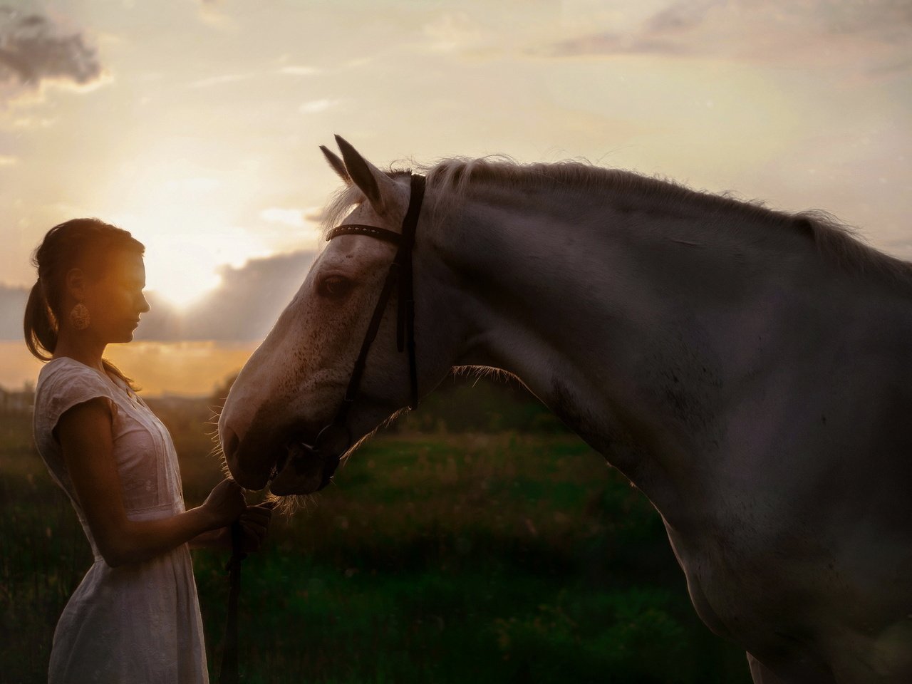 Обои свет, девушка, конь, light, girl, horse разрешение 2048x1365 Загрузить
