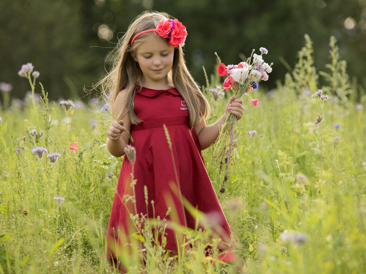 Обои цветы, природа, платье, лето, дети, девочка, волосы, лицо, flowers, nature, dress, summer, children, girl, hair, face разрешение 7360x4912 Загрузить