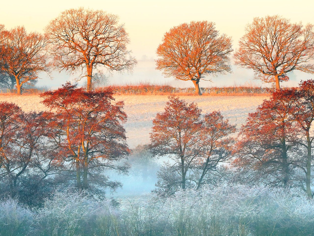 Обои деревья, утро, туман, рассвет, осень, дымка, trees, morning, fog, dawn, autumn, haze разрешение 3600x2400 Загрузить