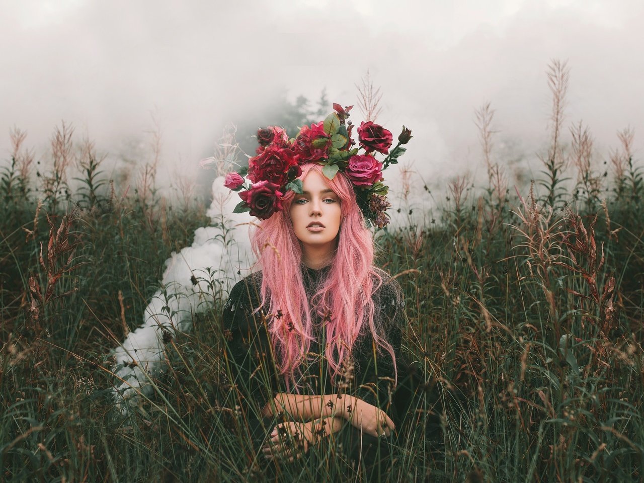 Обои трава, девушка, розы, взгляд, волосы, венок, розовые волосы, alexandra cameron, grass, girl, roses, look, hair, wreath, pink hair разрешение 2048x1365 Загрузить