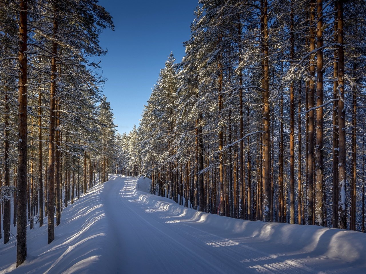 Обои дорога, деревья, снег, лес, зима, road, trees, snow, forest, winter разрешение 1920x1112 Загрузить
