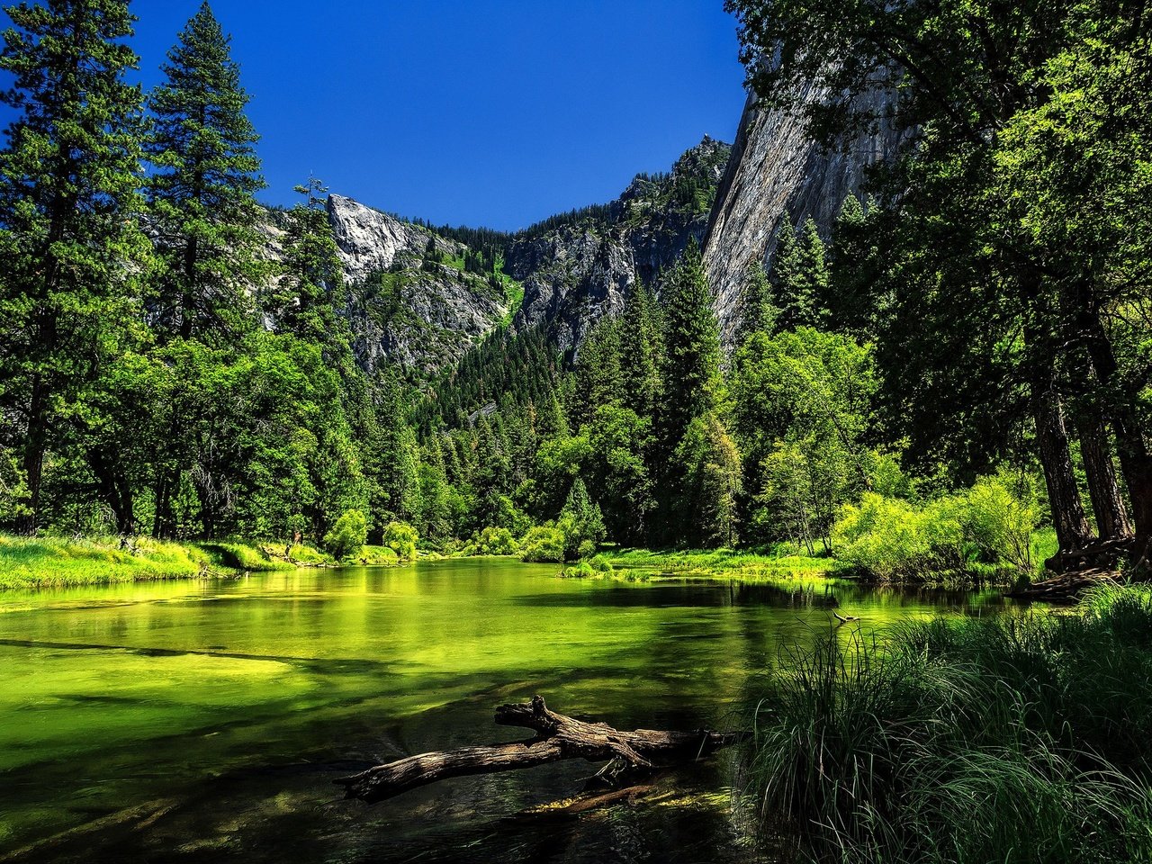 Обои деревья, ка­ли­фор­нийс­кая, река, река мерсед, горы, merced river, йосемитский национальный парк., сша, калифорния, йосемити, йосемитский национальный парк, сьерра-невада, trees, california, river, the merced river, mountains, usa, ca, yosemite, yosemite national park, sierra nevada разрешение 2048x1365 Загрузить