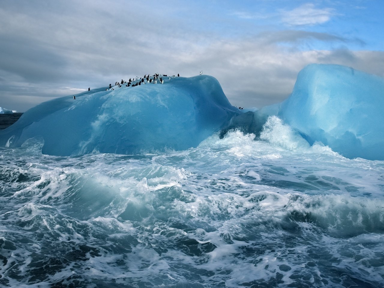 Обои океан, антарктида, пингвины, ледник, the ocean, antarctica, penguins, glacier разрешение 3200x2000 Загрузить