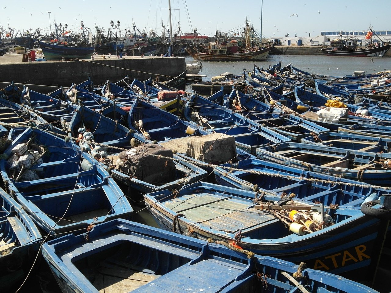 Обои берег, лодки, пристань, порт, марокко, рыболовное судно, эссаурия, shore, boats, marina, port, morocco, fishing vessel, essaouira разрешение 2592x1944 Загрузить