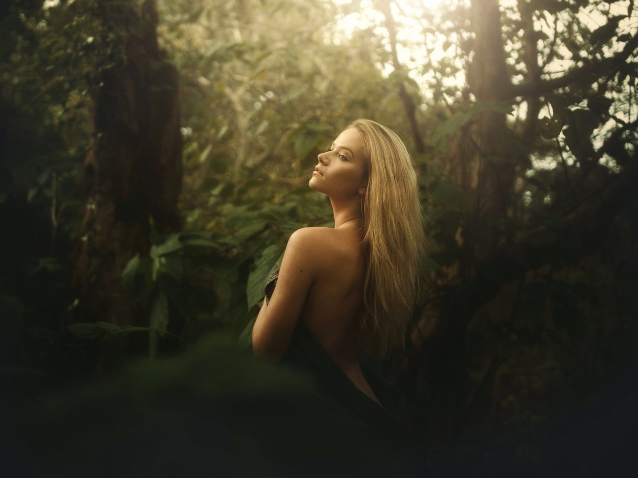 Обои лес, блондинка, взгляд, спина, tj drysdale, forest, blonde, look, back разрешение 2048x1365 Загрузить