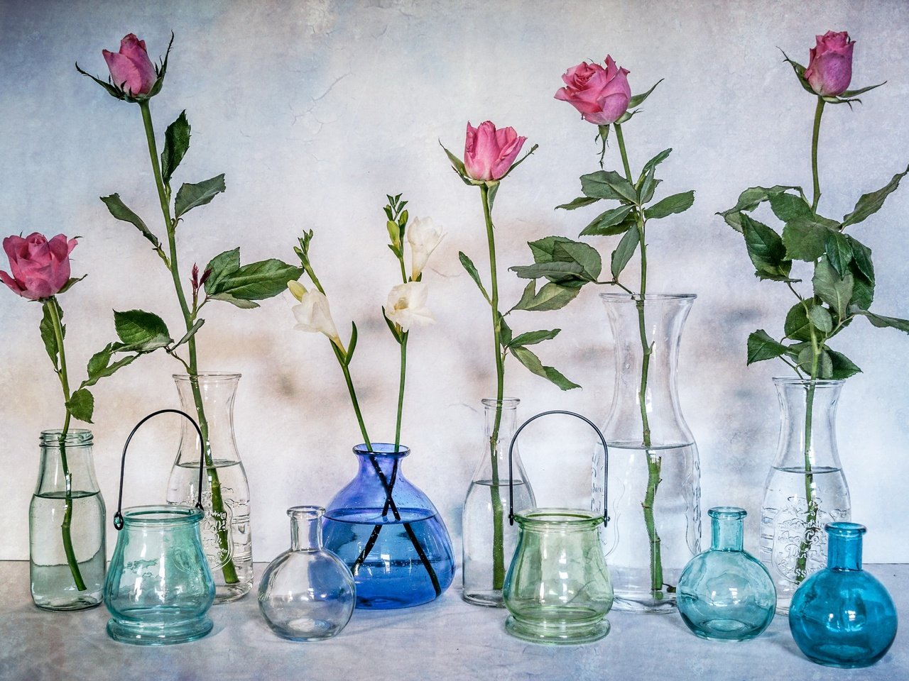 Обои цветы, розы, стекло, бутылки, натюрморт, банки, вазы, flowers, roses, glass, bottle, still life, banks, vases разрешение 2560x1761 Загрузить