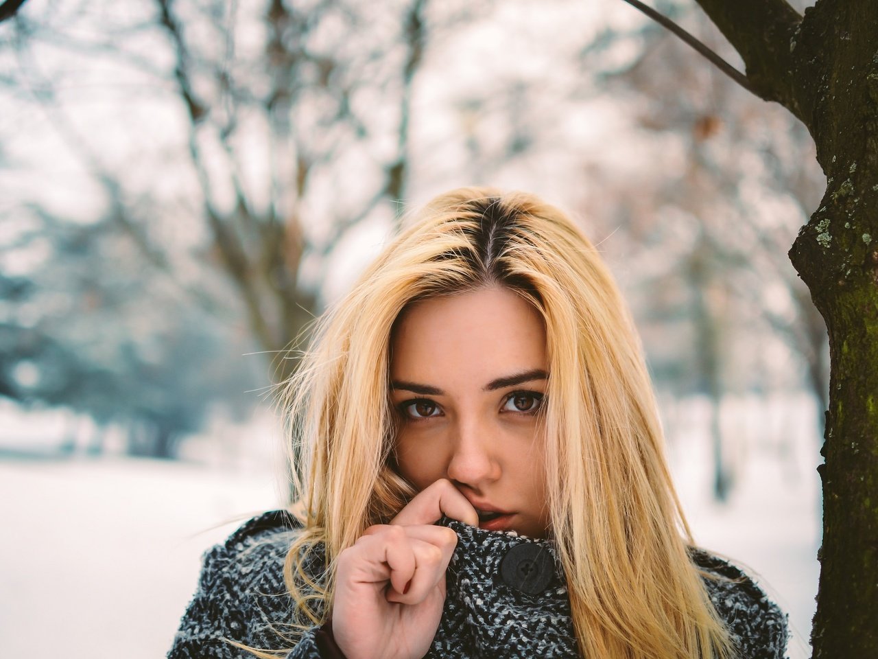 Обои зима, девушка, портрет, взгляд, волосы, лицо, winter, girl, portrait, look, hair, face разрешение 2048x1365 Загрузить