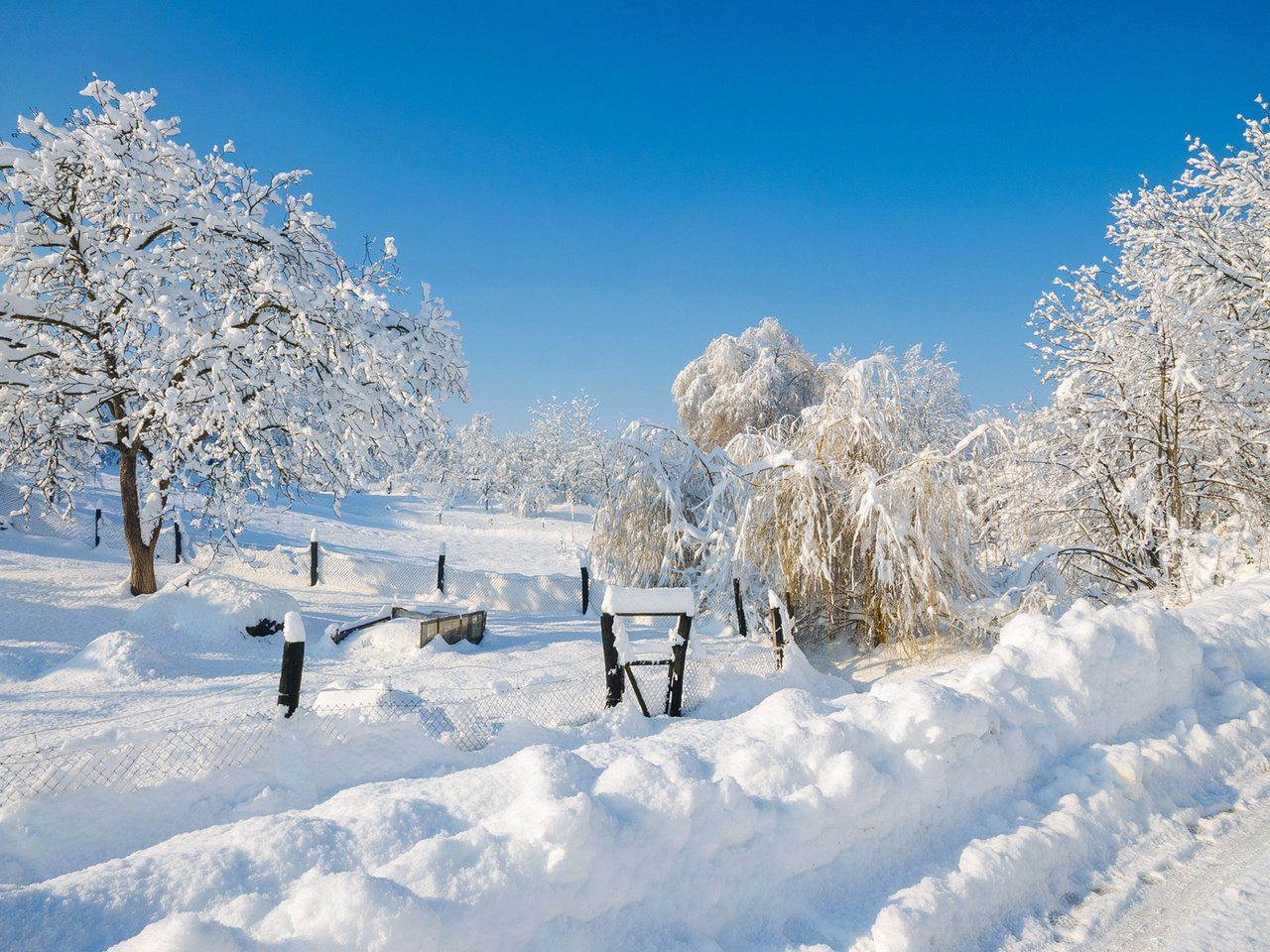 Обои небо, деревья, снег, природа, зима, сугробы, matej paluh, the sky, trees, snow, nature, winter, the snow разрешение 1920x1200 Загрузить