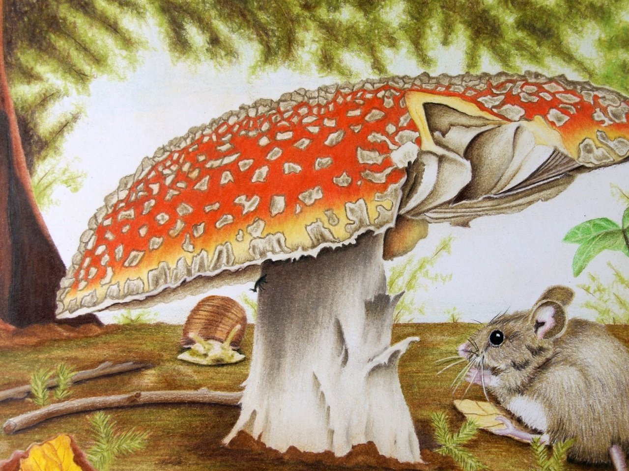 Обои природа, гриб, мышь, чертеж, художественное произведение, nature, mushroom, mouse, drawing, artwork разрешение 2560x1600 Загрузить