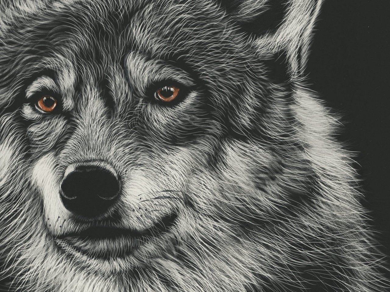 Обои морда, арт, рисунок, взгляд, волк, face, art, figure, look, wolf разрешение 1920x1080 Загрузить