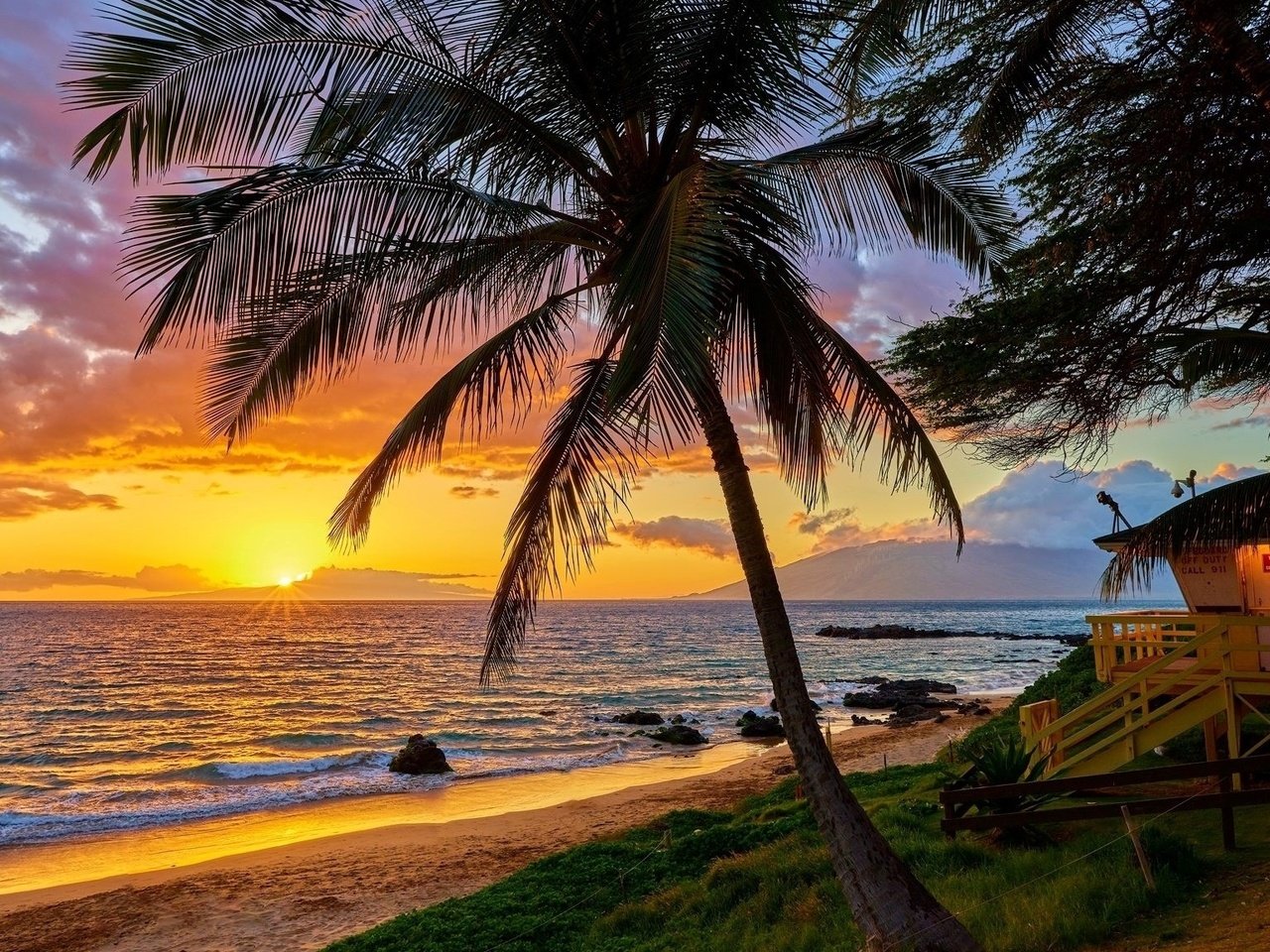 Обои океан, небо, пальма, облака, отдых, природа, закат, гавайи, пейзаж, море, горизонт, лето, the ocean, the sky, palma, clouds, stay, nature, sunset, hawaii, landscape, sea, horizon, summer разрешение 2048x1152 Загрузить