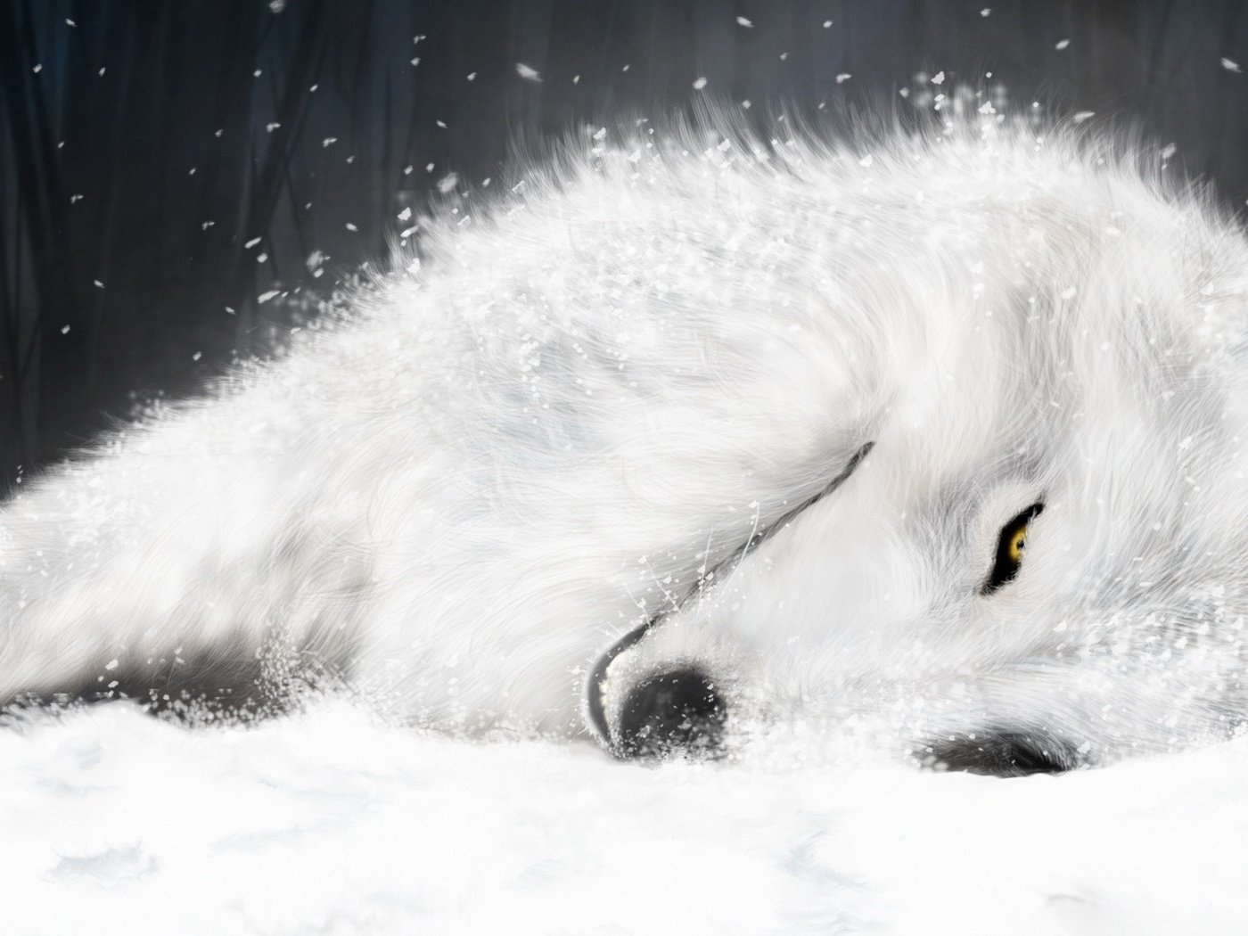 Обои рисунок, белый, волк, волчий дождь, figure, white, wolf, wolf's rain разрешение 1920x1200 Загрузить