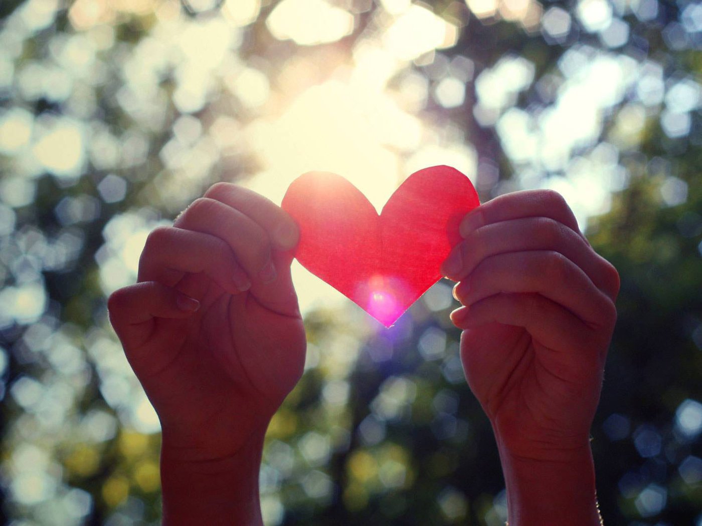 Обои сердце, руки, день святого валентина, валентинка, heart, hands, valentine's day, valentine разрешение 1920x1080 Загрузить