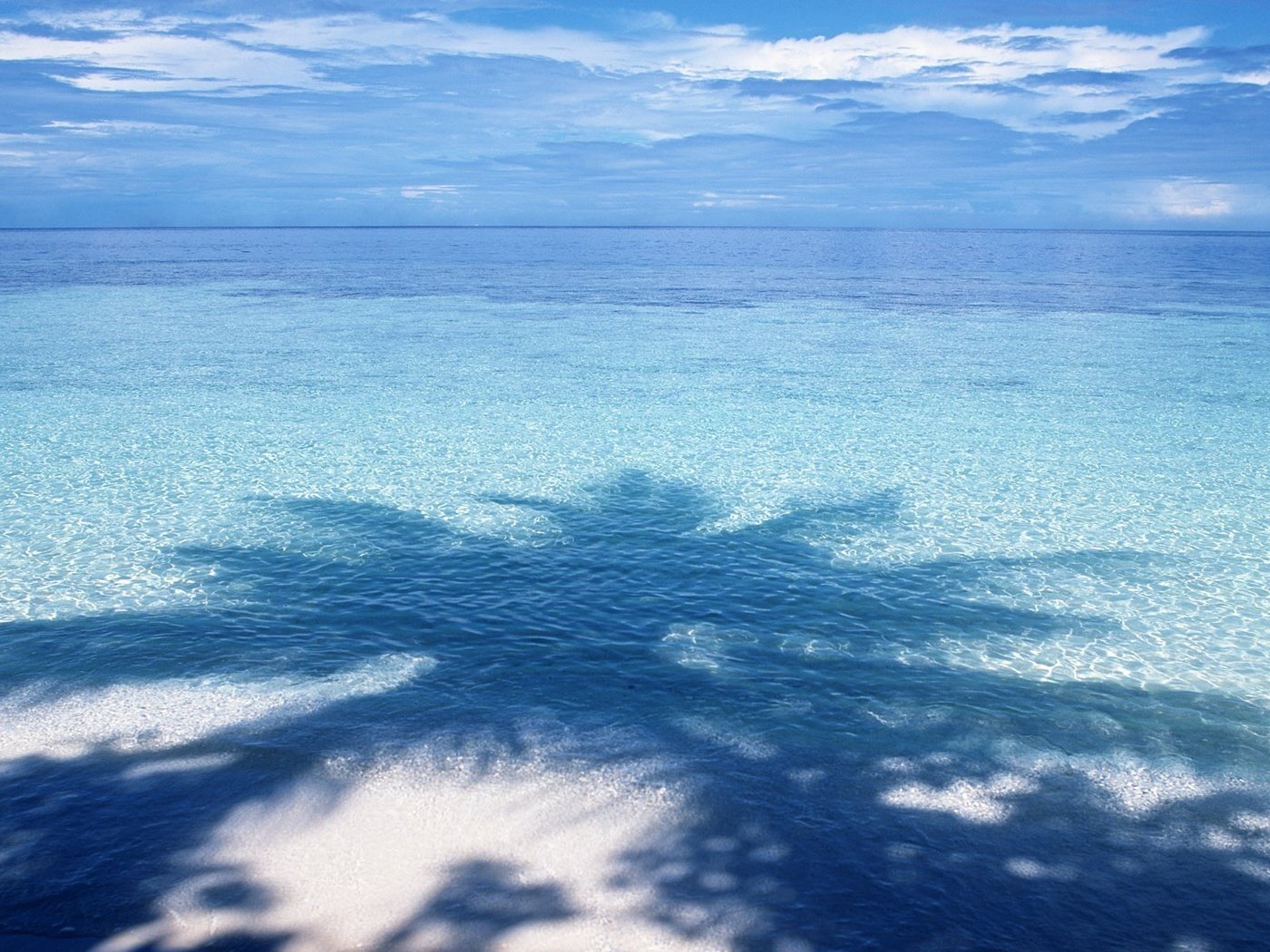Обои вода, синий, горизонт, тень, пальма, water, blue, horizon, shadow, palma разрешение 1920x1200 Загрузить