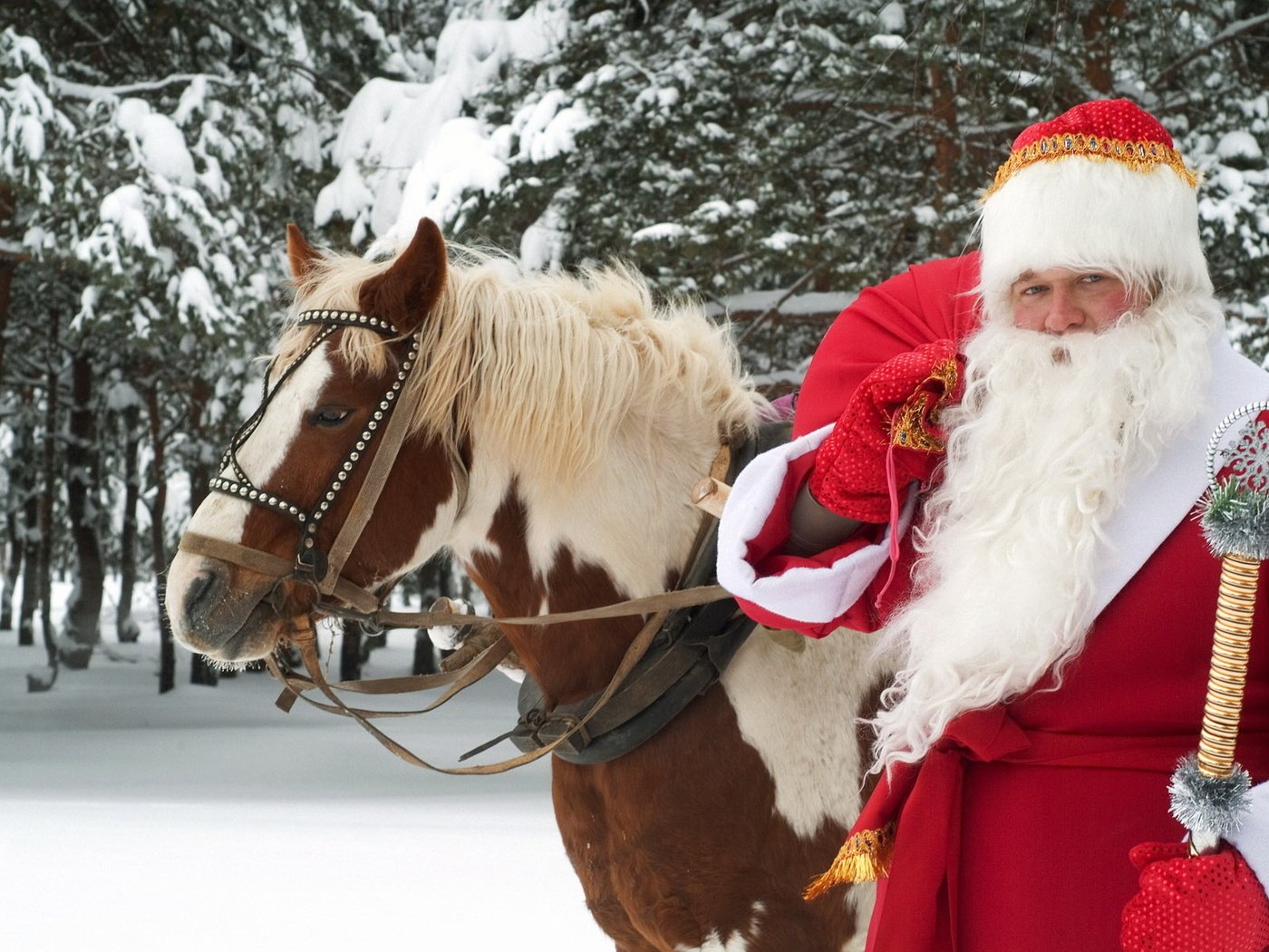 Обои лошадь, новый год, лес, зима, дед мороз, праздник, великий устюг, horse, new year, forest, winter, santa claus, holiday, veliky ustyug разрешение 1920x1200 Загрузить