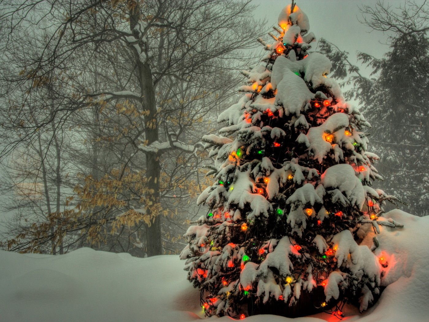 Обои снег, новый год, елка, зима, snow, new year, tree, winter разрешение 2560x1600 Загрузить