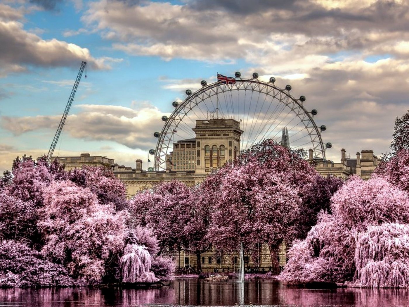 Обои цветы, облака, деревья, колесо обозрения, весна, красиво, flowers, clouds, trees, ferris wheel, spring, beautiful разрешение 2000x1333 Загрузить