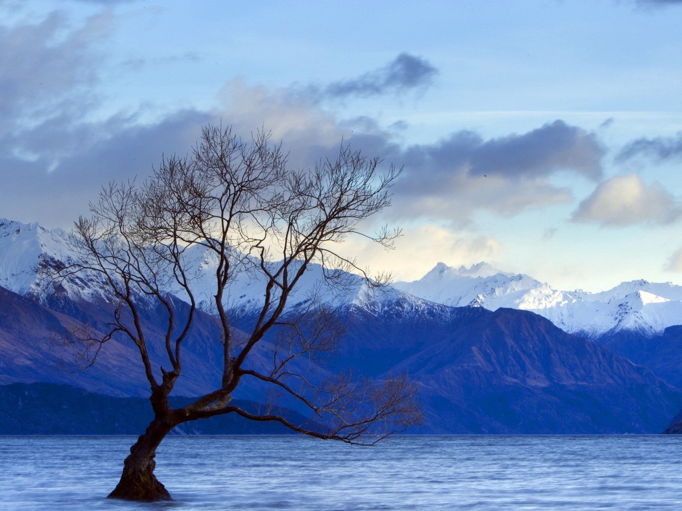 Обои небо, облака, озеро, горы, дерево, пейзаж, вершины, the sky, clouds, lake, mountains, tree, landscape, tops разрешение 1920x1080 Загрузить