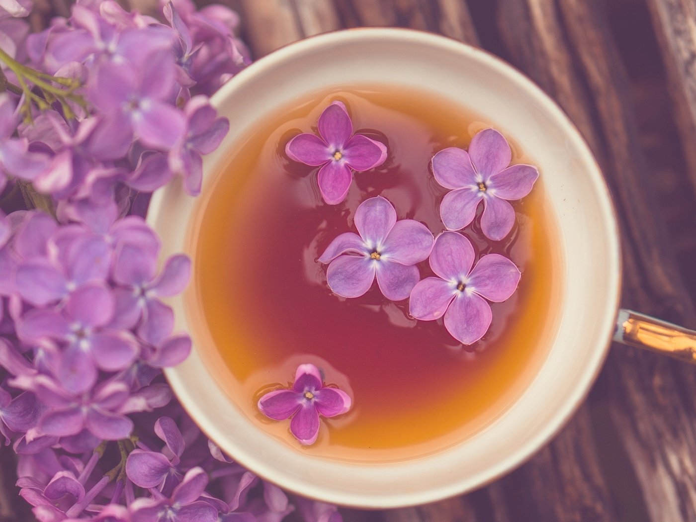 Обои цветы, настроение, кружка, чай, сирень, flowers, mood, mug, tea, lilac разрешение 1920x1200 Загрузить