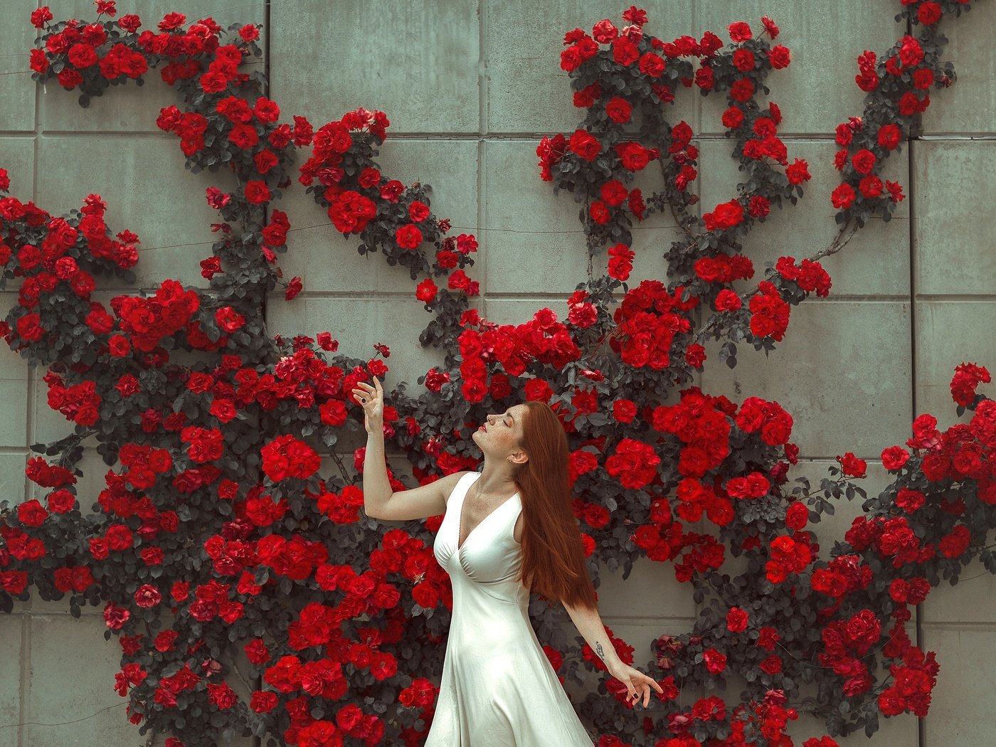 Обои цветы, девушка, платье, поза, стена, лицо, flowers, girl, dress, pose, wall, face разрешение 2048x1365 Загрузить