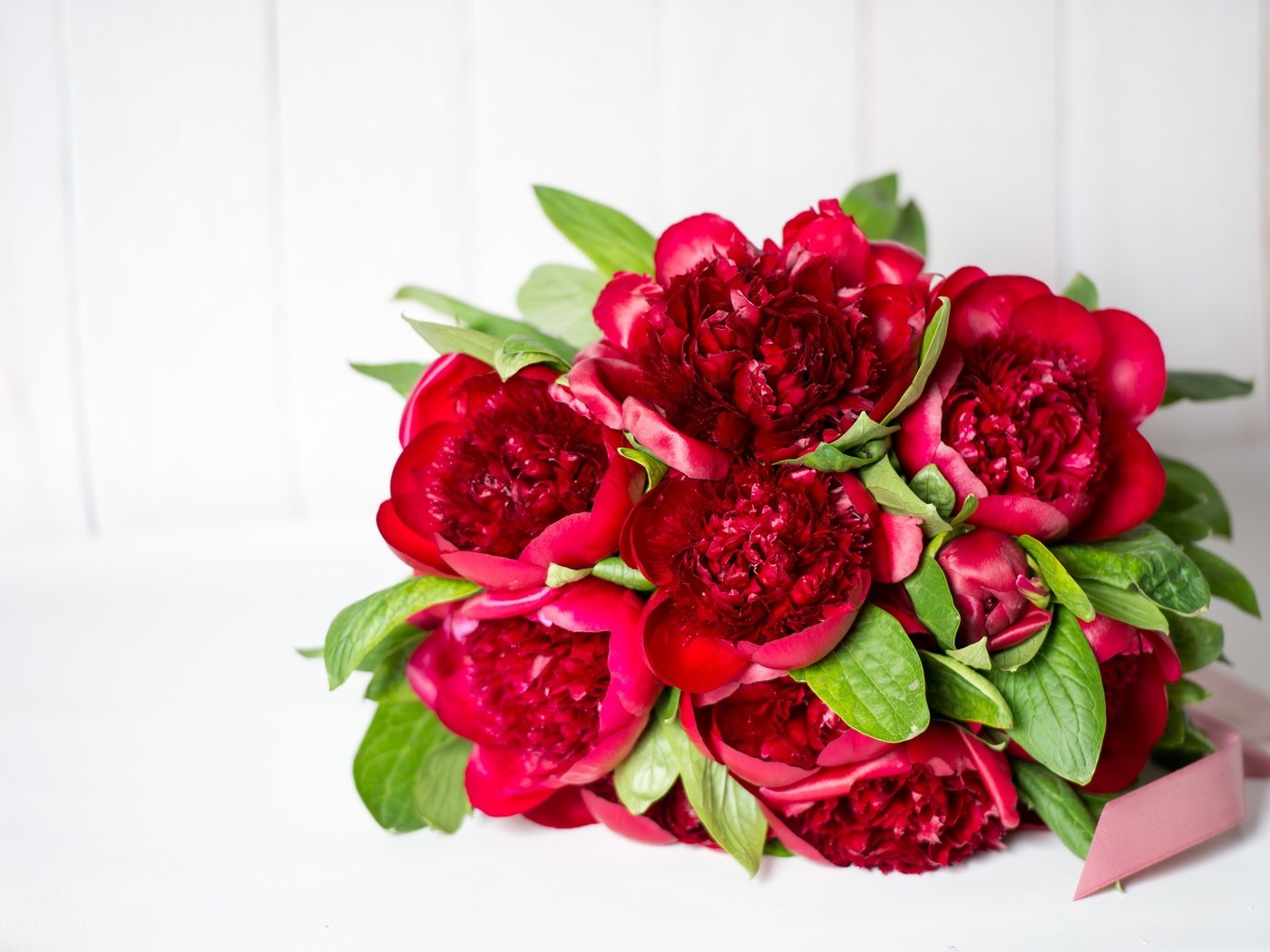 Обои цветы, красный, букет, пионы, flowers, red, bouquet, peonies разрешение 4468x2974 Загрузить