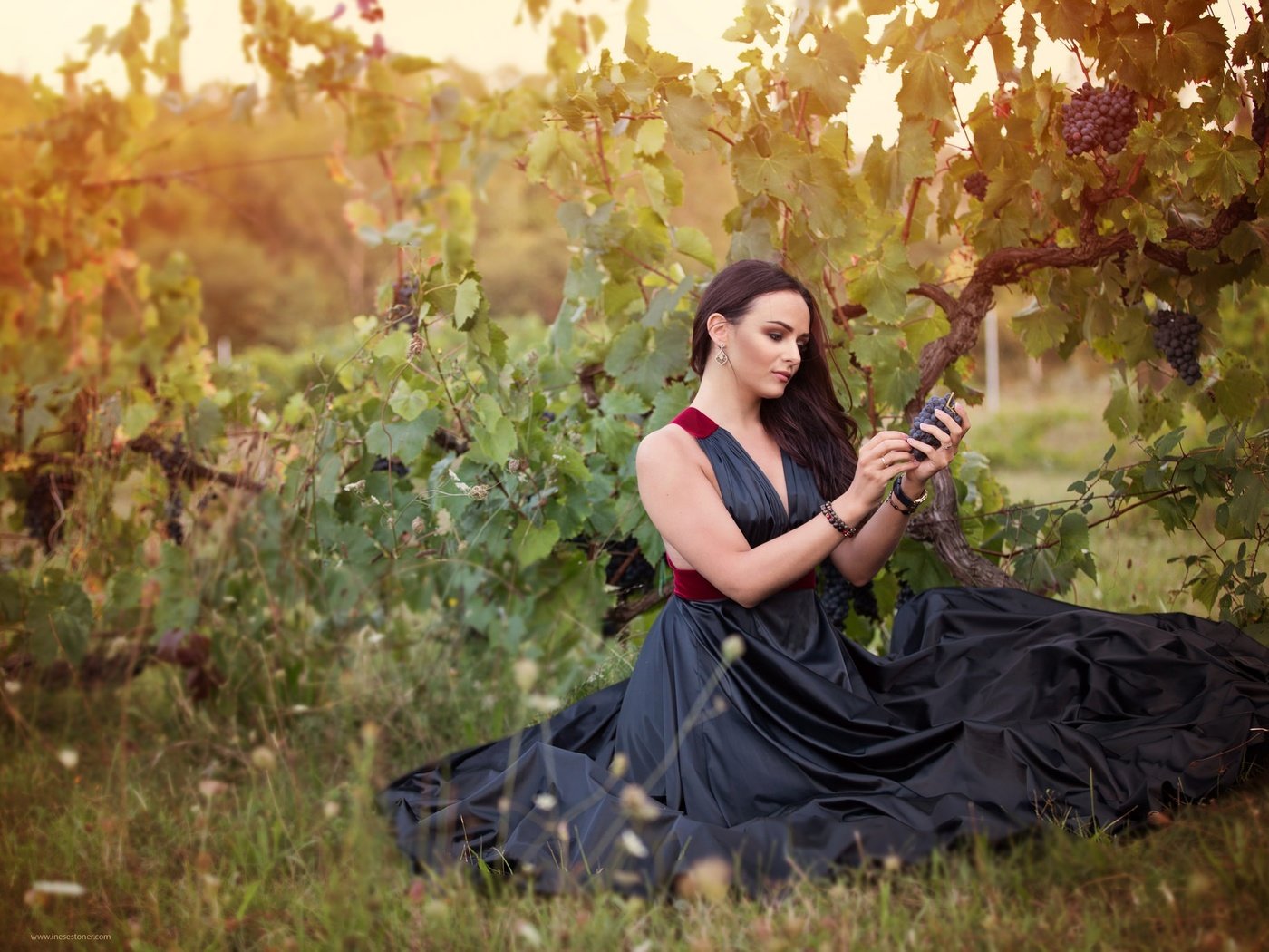 Обои девушка, виноград, платье, брюнетка, взгляд, волосы, girl, grapes, dress, brunette, look, hair разрешение 2048x1365 Загрузить