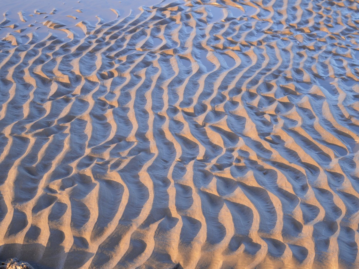 Обои текстура, песок, пляж, texture, sand, beach разрешение 6016x4000 Загрузить