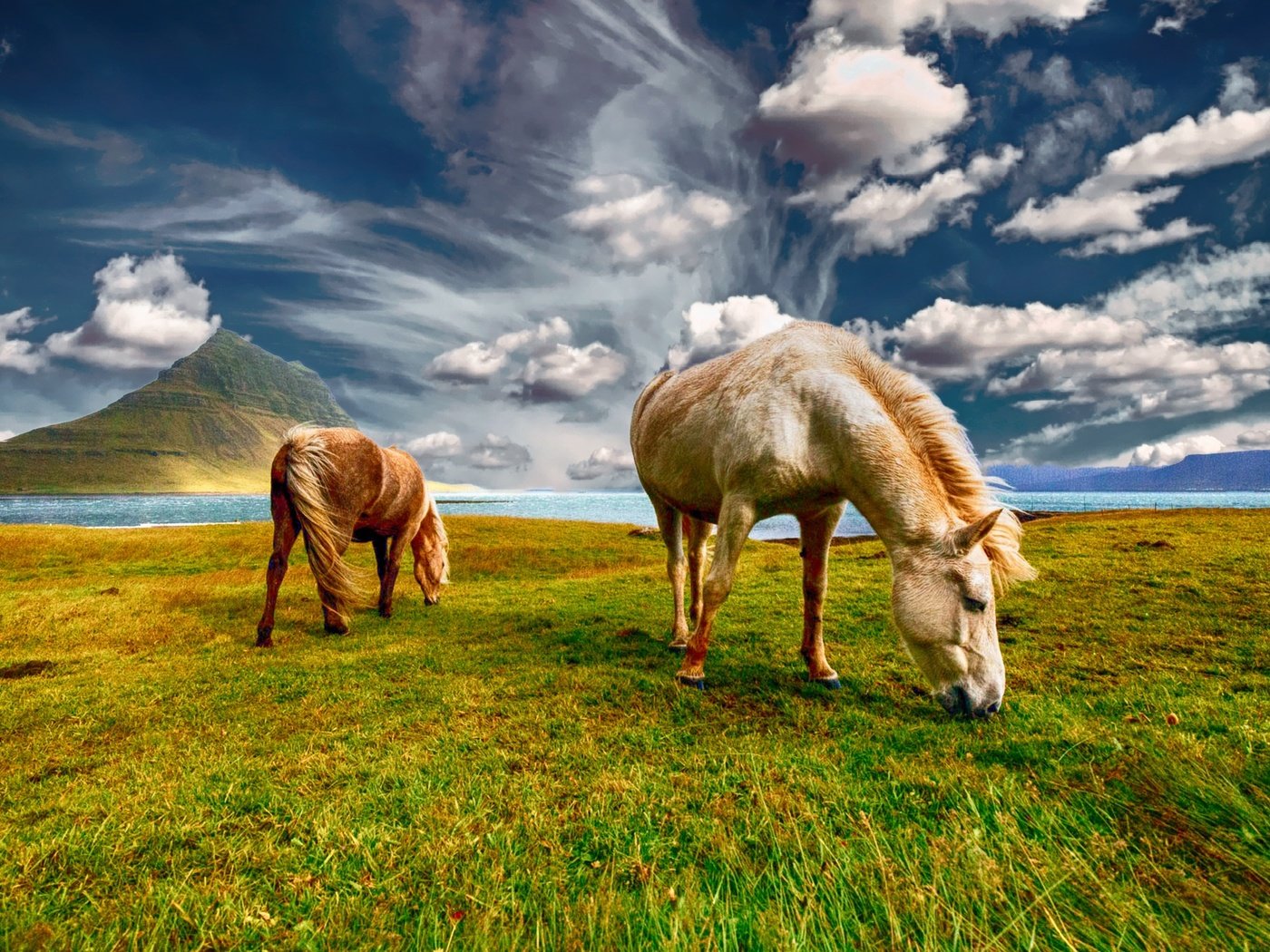 Обои небо, трава, облака, пара, лошади, кони, пастбище, the sky, grass, clouds, pair, horse, horses, pasture разрешение 2000x1333 Загрузить