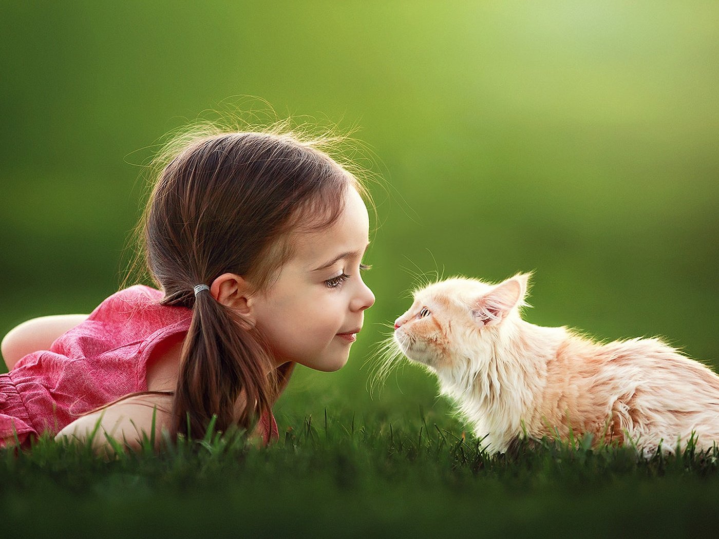 Обои трава, настроение, кот, кошка, девочка, ребенок, suzy mead, grass, mood, cat, girl, child разрешение 1920x1200 Загрузить