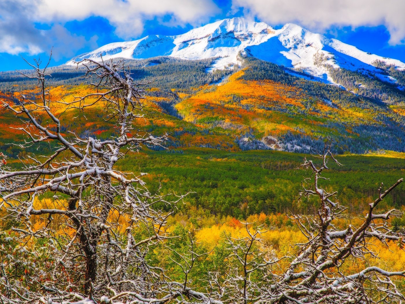 Обои деревья, горы, снег, осень, колорадо, аспен, trees, mountains, snow, autumn, colorado, aspen разрешение 1951x1390 Загрузить