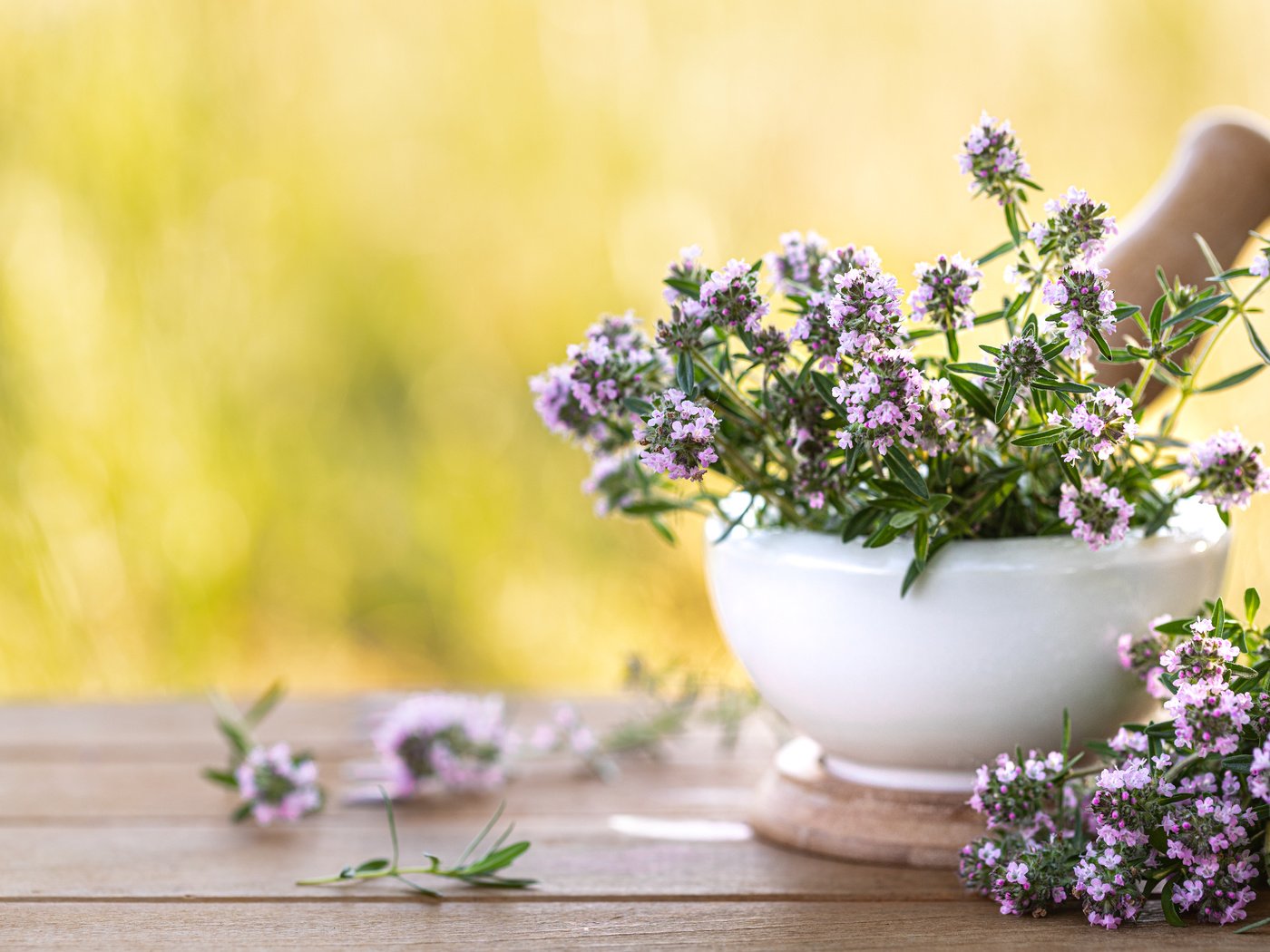 Обои природа, стол, букет, чабрец, тимьян, nature, table, bouquet, thyme разрешение 6580x4387 Загрузить