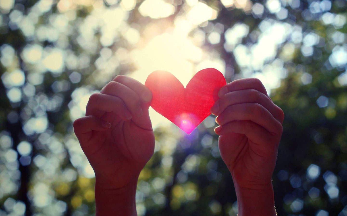 Обои сердце, руки, день святого валентина, валентинка, heart, hands, valentine's day, valentine разрешение 1920x1080 Загрузить